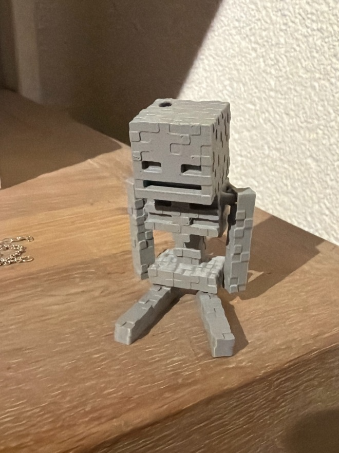 سكلتون ماين كرافت